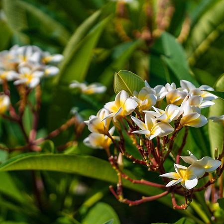 Alai Resort Mullaittivu Bagian luar foto
